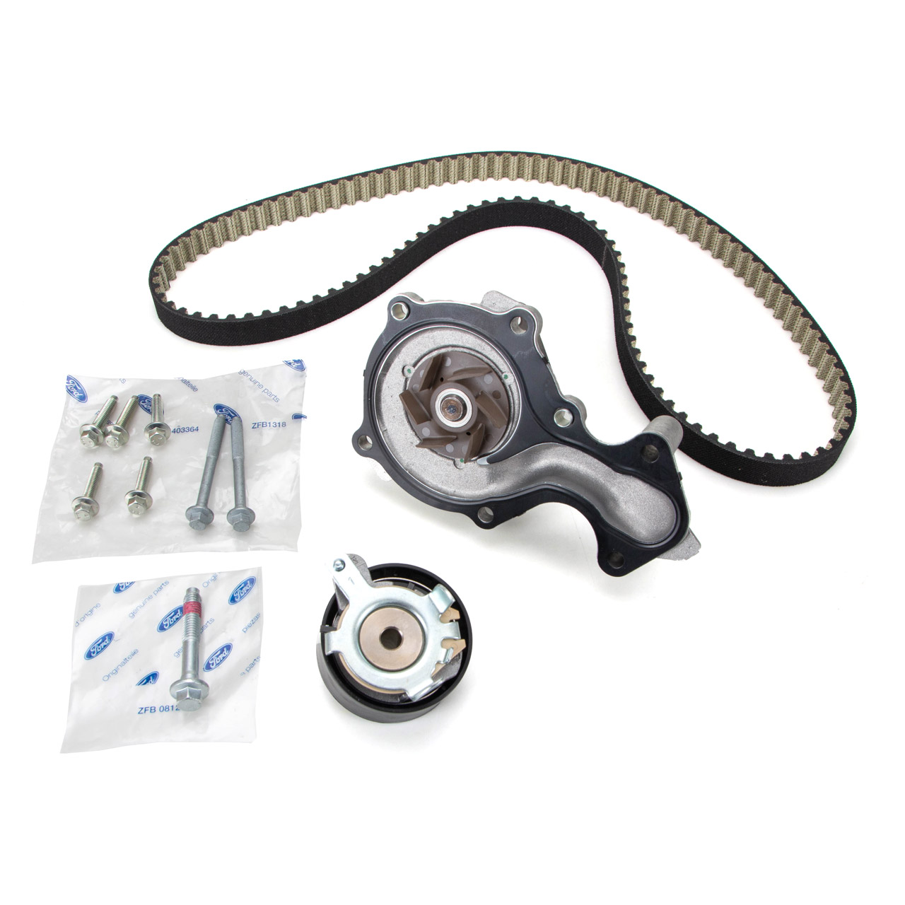 CT881K3 KIT CINGHIA DISTRIBUZIONE COMPATIBILE CON FORD FIESTA MK5 JH1 JD1  JH3 JD3 11.2001-06.2008 70-100 CV BENZINA CINGHIA DENTATA TENDI RULLO  CONTINENTAL : : Auto e Moto